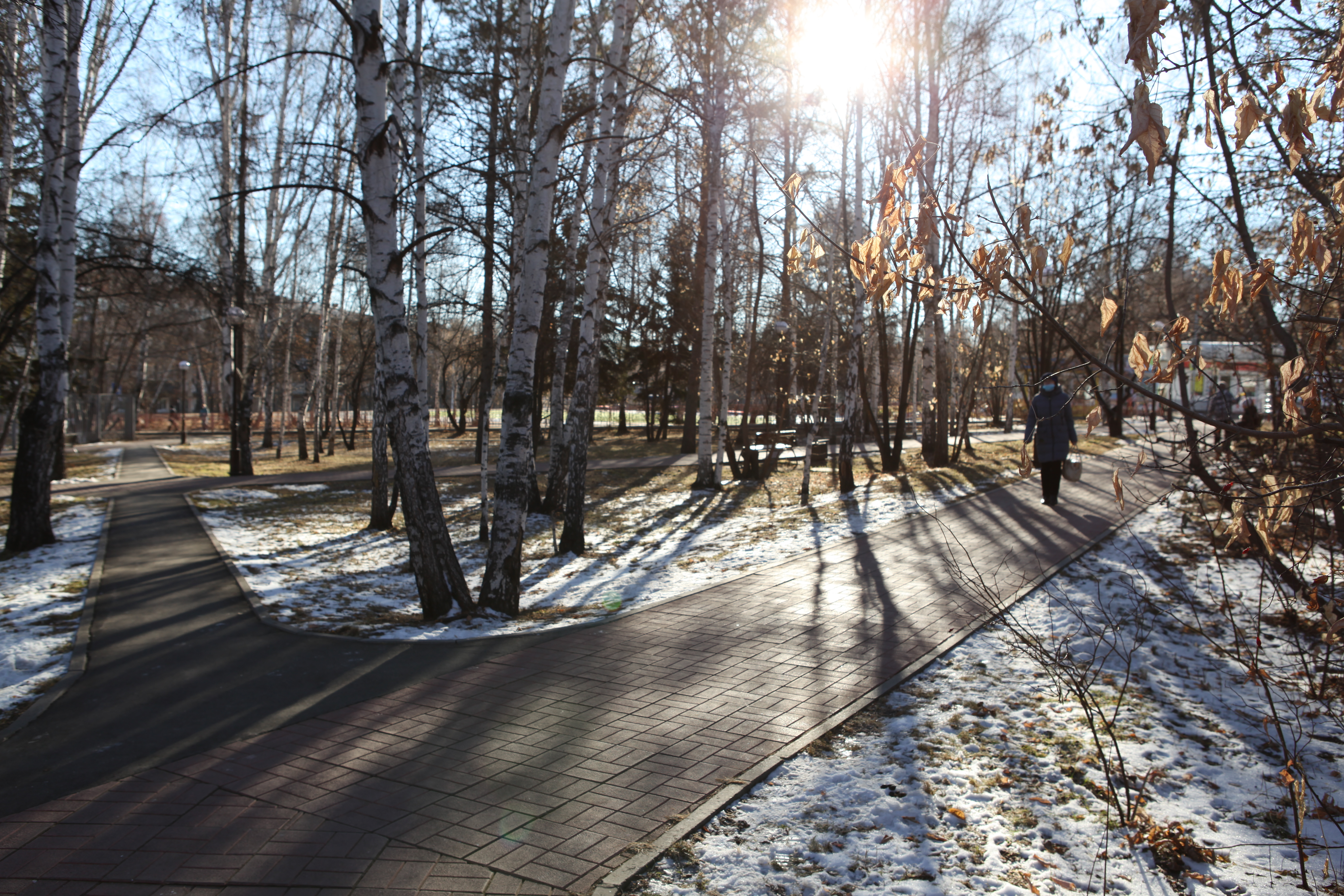 парк в академгородке